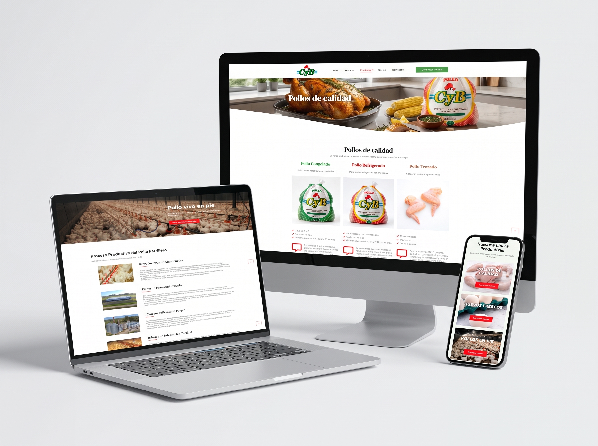 Sitio web de CyB: pagina de productos, proceso productivo del pollo parrillero y menu de lineas productivas en celular, en monitor, laptop y celular